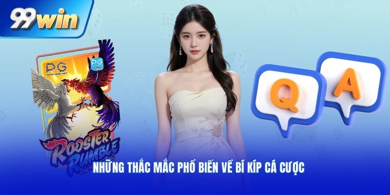 Những thắc mắc phổ biến về bí kíp cá cược